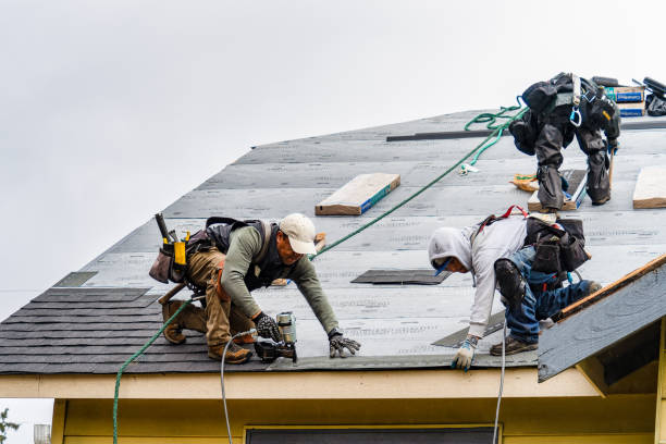 Professional Roofing technician working in Le Center, MN